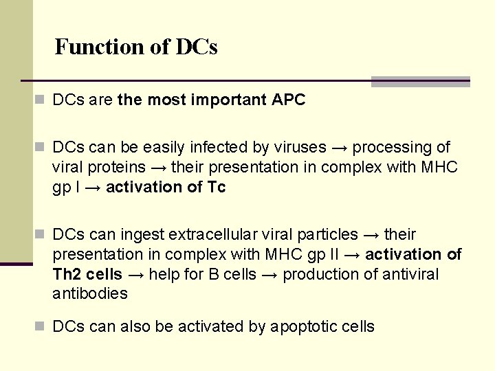 Function of DCs n DCs are the most important APC n DCs can be