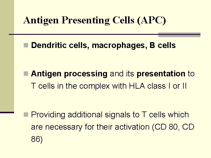 Antigen Presenting Cells (APC) n Dendritic cells, macrophages, B cells n Antigen processing and