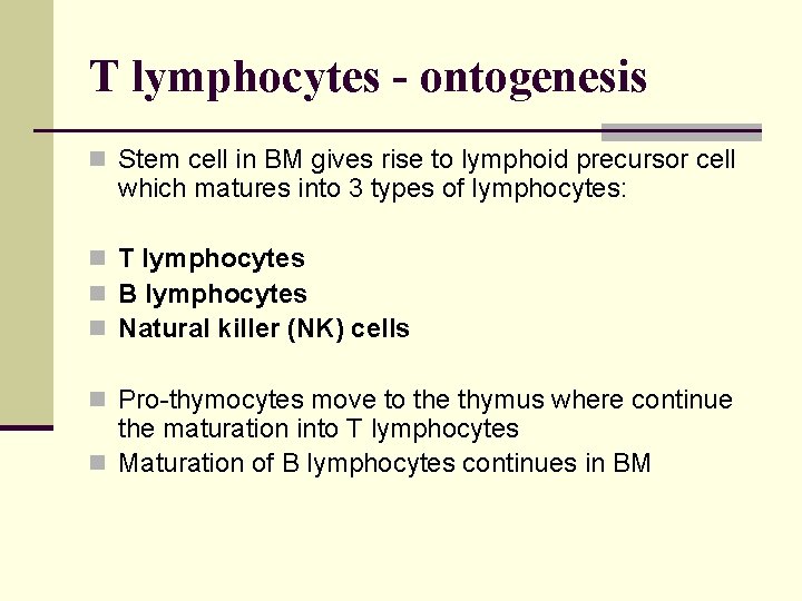 T lymphocytes - ontogenesis n Stem cell in BM gives rise to lymphoid precursor