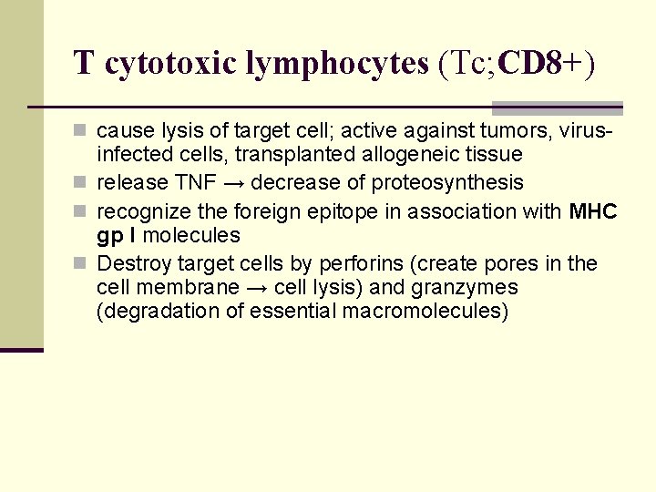 T cytotoxic lymphocytes (Tc; CD 8+) n cause lysis of target cell; active against