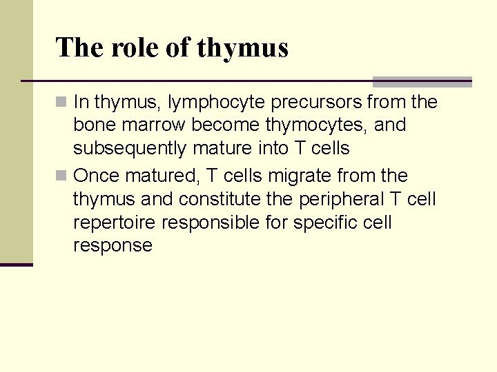 The role of thymus n In thymus, lymphocyte precursors from the bone marrow become