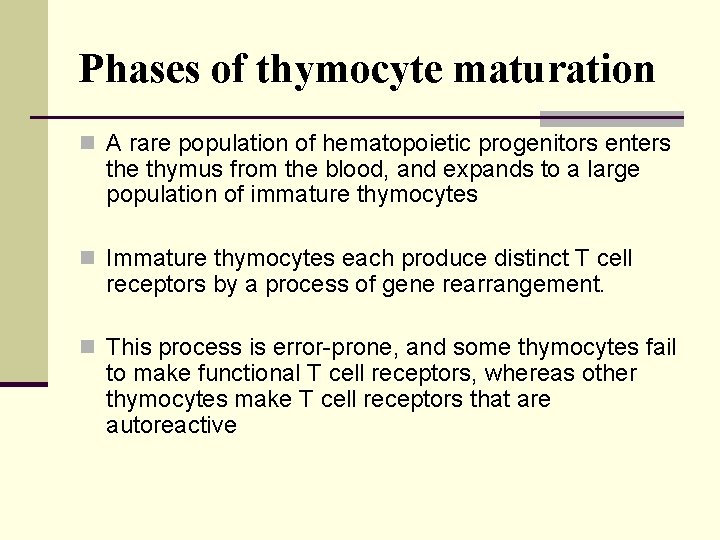Phases of thymocyte maturation n A rare population of hematopoietic progenitors enters the thymus