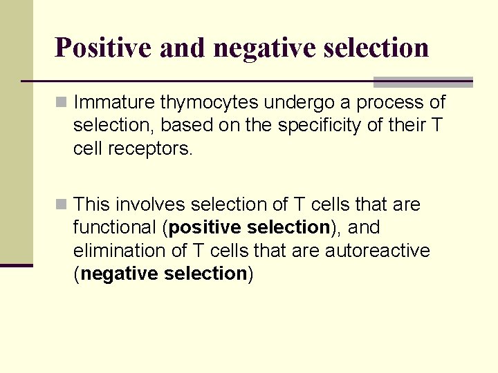 Positive and negative selection n Immature thymocytes undergo a process of selection, based on