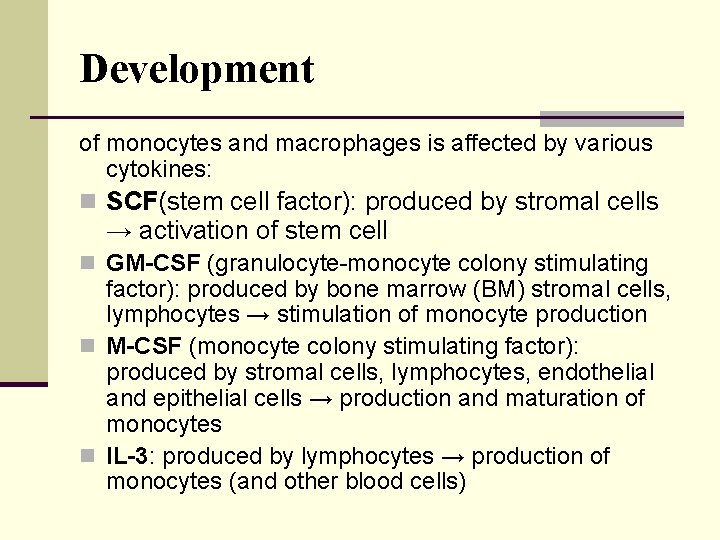 Development of monocytes and macrophages is affected by various cytokines: n SCF(stem cell factor):