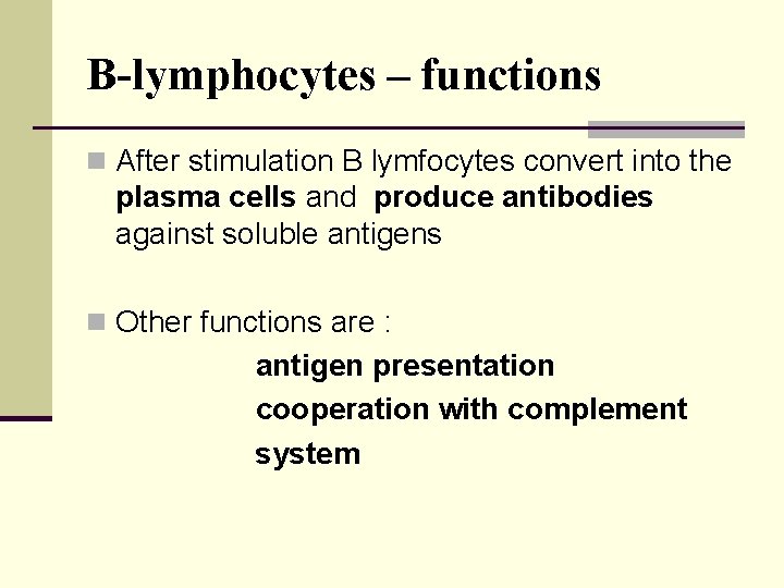 B-lymphocytes – functions n After stimulation B lymfocytes convert into the plasma cells and