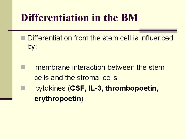 Differentiation in the BM n Differentiation from the stem cell is influenced by: n