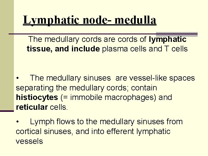 Lymphatic node- medulla The medullary cords are cords of lymphatic tissue, and include plasma