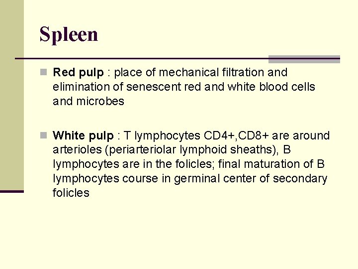 Spleen n Red pulp : place of mechanical filtration and elimination of senescent red