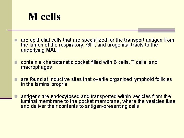 M cells n are epithelial cells that are specialized for the transport antigen from