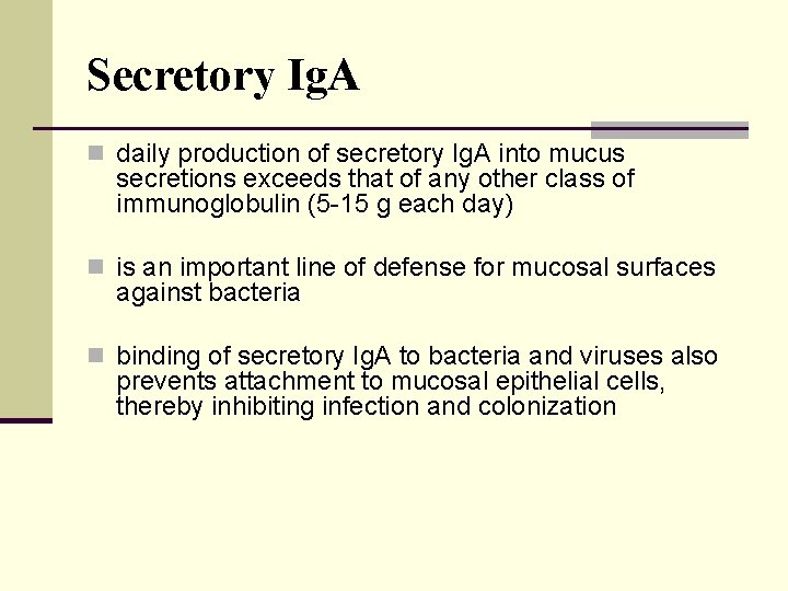 Secretory Ig. A n daily production of secretory Ig. A into mucus secretions exceeds