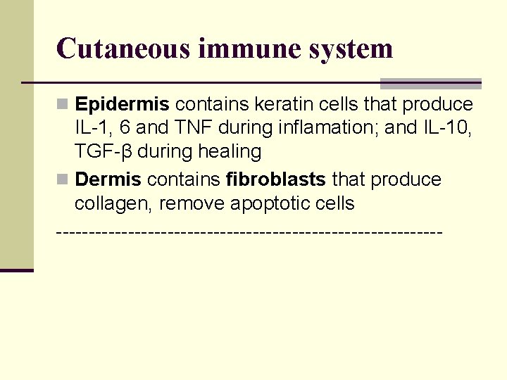 Cutaneous immune system n Epidermis contains keratin cells that produce IL-1, 6 and TNF