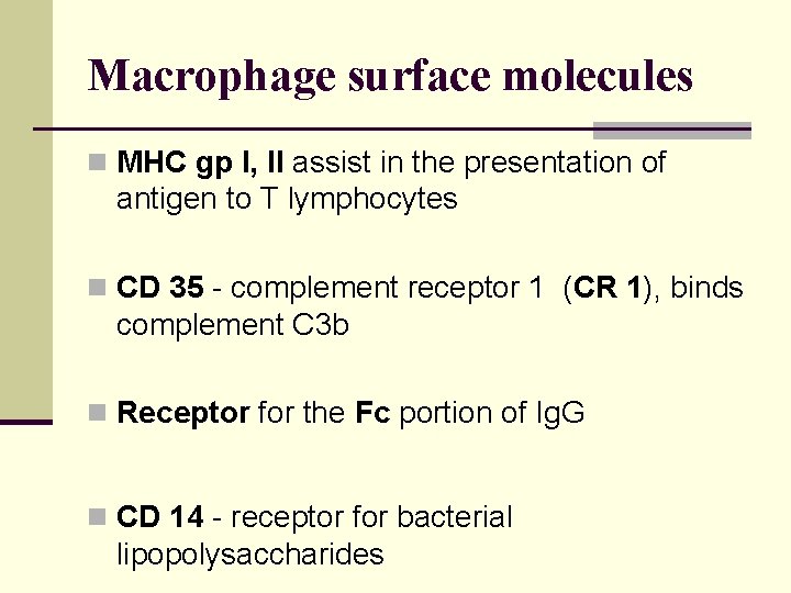Macrophage surface molecules n MHC gp I, II assist in the presentation of antigen
