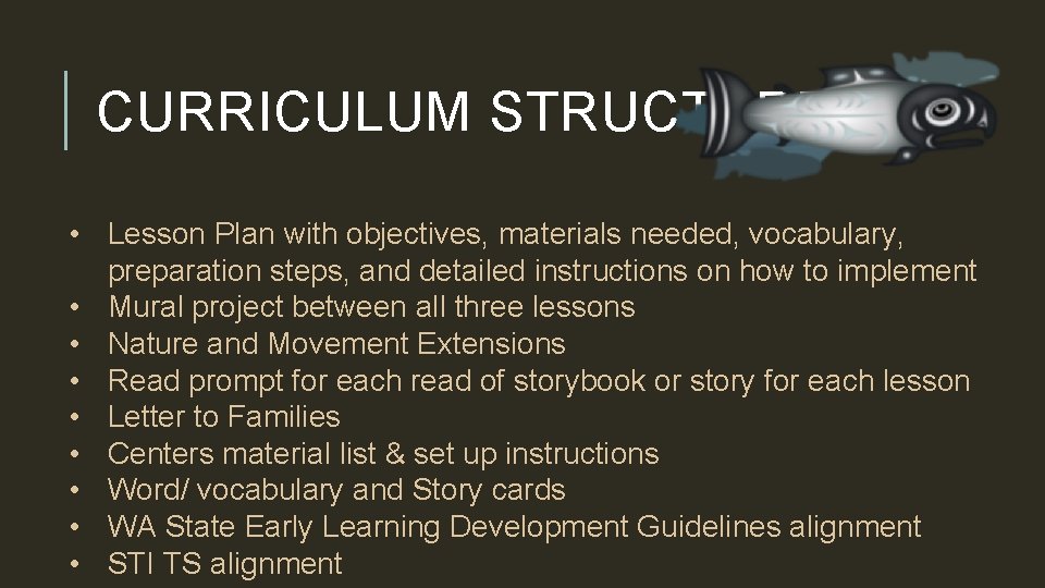 CURRICULUM STRUCTURE • Lesson Plan with objectives, materials needed, vocabulary, preparation steps, and detailed