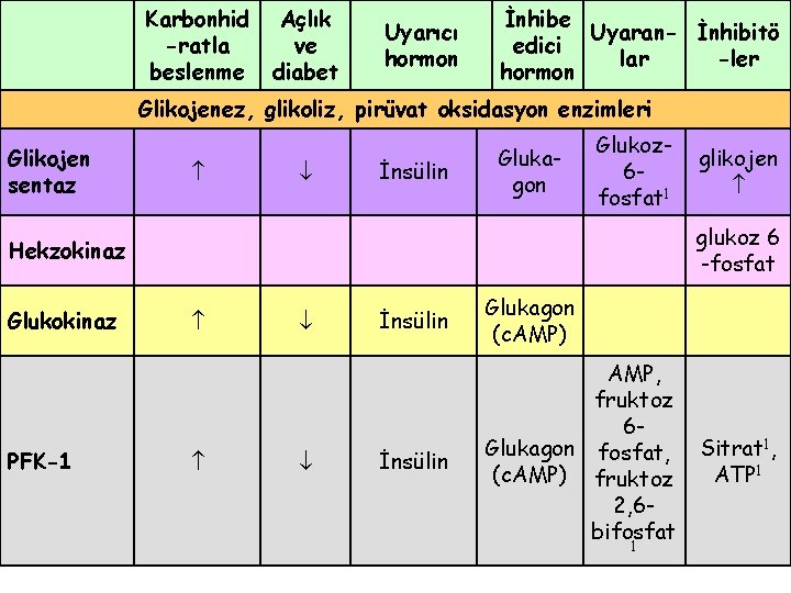 Karbonhid -ratla beslenme Açlık ve diabet Uyarıcı hormon İnhibe Uyaran- İnhibitö edici lar -ler
