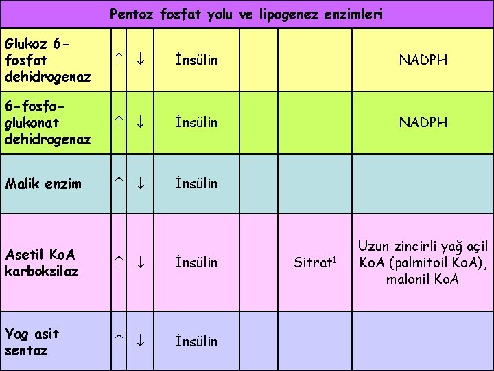 Pentoz fosfat yolu ve lipogenez enzimleri Glukoz 6 fosfat dehidrogenaz İnsülin NADPH 6 -fosfoglukonat