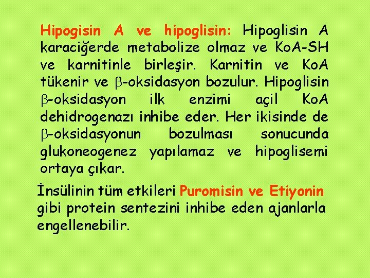 Hipogisin A ve hipoglisin: Hipoglisin A karaciğerde metabolize olmaz ve Ko. A-SH ve karnitinle