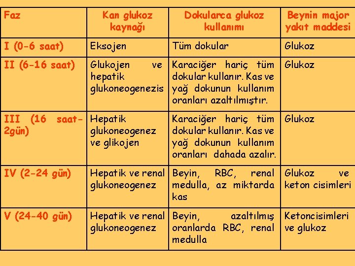 Faz Kan glukoz kaynağı Dokularca glukoz kullanımı I (0 -6 saat) Eksojen II (6
