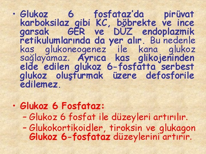  • Glukoz 6 fosfataz’da pirüvat karboksilaz gibi KC, böbrekte ve ince garsak GER