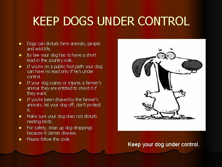 KEEP DOGS UNDER CONTROL l l l l Dogs can disturb farm animals, people