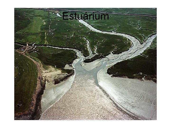 Estuárium 