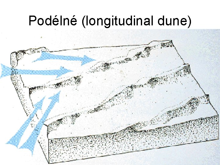 Podélné (longitudinal dune) 