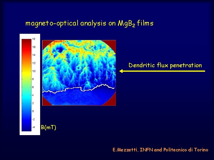 magneto-optical analysis on Mg. B 2 films Dendritic flux penetration B(m. T) E. Mezzetti,