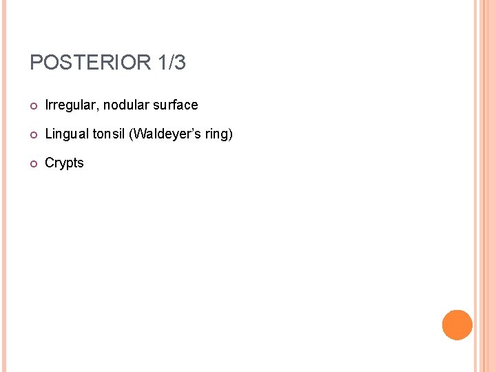 POSTERIOR 1/3 Irregular, nodular surface Lingual tonsil (Waldeyer’s ring) Crypts POSTERIOR 1/3 Irregular, nodular surface Lingual tonsil (Waldeyer’s ring) Crypts