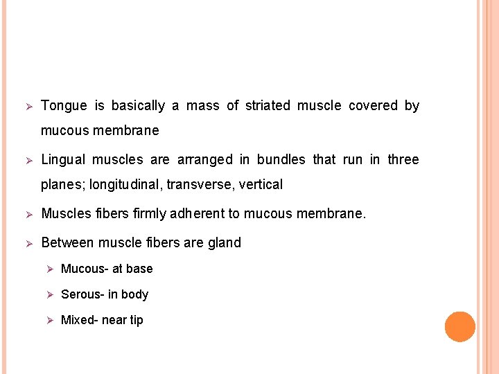 Ø Tongue is basically a mass of striated muscle covered by mucous membrane Ø Ø Tongue is basically a mass of striated muscle covered by mucous membrane Ø