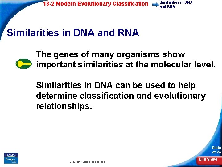 18 -2 Modern Evolutionary Classification Similarities in DNA and RNA The genes of many