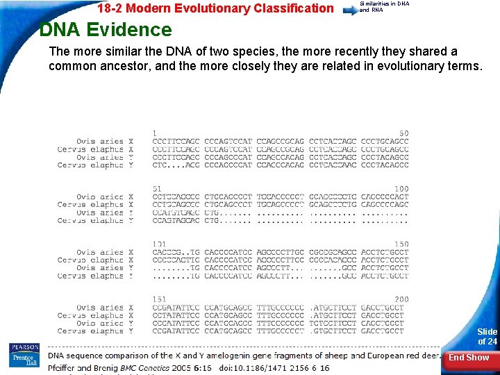 18 -2 Modern Evolutionary Classification Similarities in DNA and RNA DNA Evidence The more