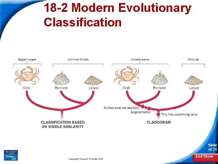 18 -2 Modern Evolutionary Classification Slide of 24 Copyright Pearson Prentice Hall End Show