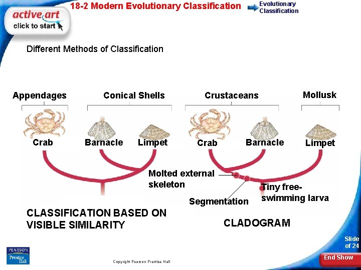 Evolutionary Classification 18 -2 Modern Evolutionary Classification Different Methods of Classification Appendages Crab Conical