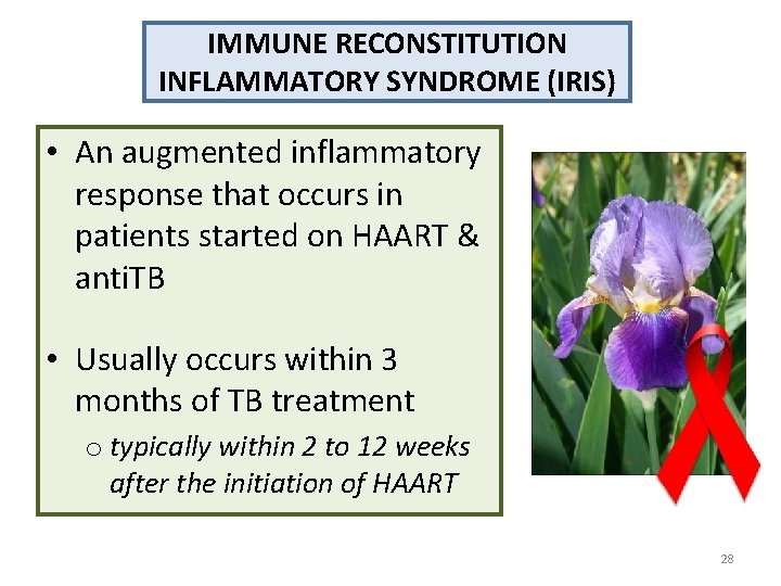 IMMUNE RECONSTITUTION INFLAMMATORY SYNDROME (IRIS) • An augmented inflammatory response that occurs in patients