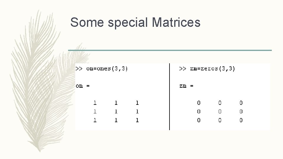 Some special Matrices 
