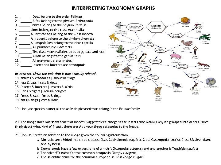 INTERPRETING TAXONOMY GRAPHS 1. ______ Dogs belong to the order Felidae. 2. ______ A INTERPRETING TAXONOMY GRAPHS 1. ______ Dogs belong to the order Felidae. 2. ______ A