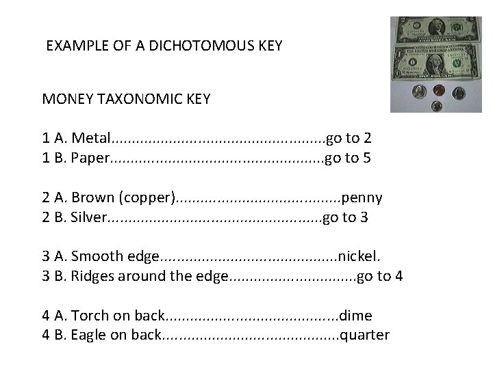 EXAMPLE OF A DICHOTOMOUS KEY MONEY TAXONOMIC KEY 1 A. Metal. . . . EXAMPLE OF A DICHOTOMOUS KEY MONEY TAXONOMIC KEY 1 A. Metal. . . .