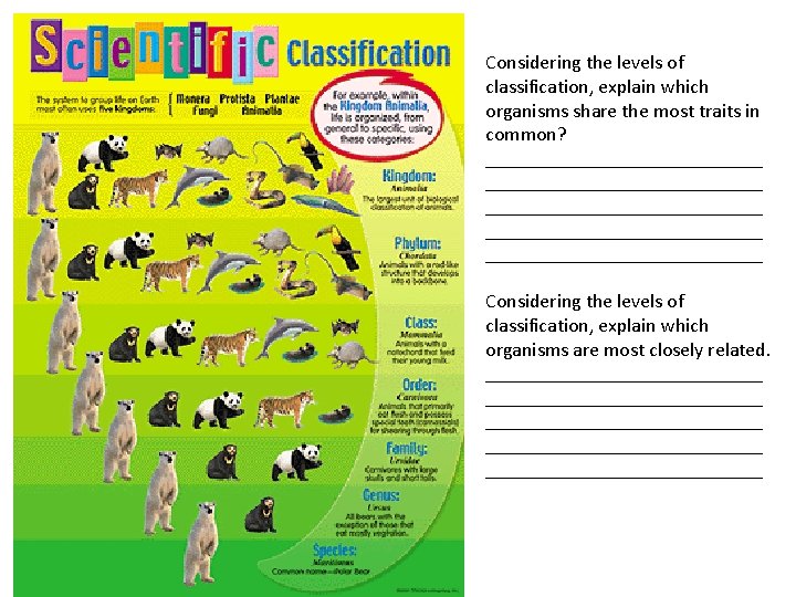 Considering the levels of classification, explain which organisms share the most traits in common? Considering the levels of classification, explain which organisms share the most traits in common?