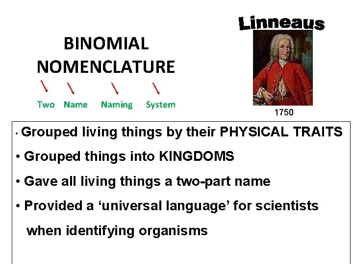 BINOMIAL NOMENCLATURE Two Name • Grouped Naming System 1750 living things by their PHYSICAL BINOMIAL NOMENCLATURE Two Name • Grouped Naming System 1750 living things by their PHYSICAL