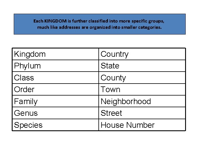 Each KINGDOM is further classified into more specific groups, much like addresses are organized Each KINGDOM is further classified into more specific groups, much like addresses are organized