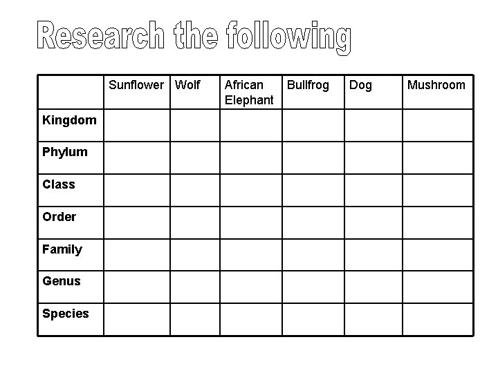 Sunflower Wolf Kingdom Phylum Class Order Family Genus Species African Elephant Bullfrog Dog Mushroom Sunflower Wolf Kingdom Phylum Class Order Family Genus Species African Elephant Bullfrog Dog Mushroom