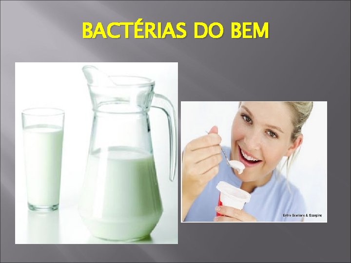 BACTÉRIAS DO BEM 