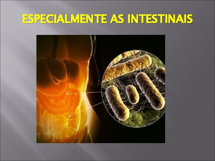 ESPECIALMENTE AS INTESTINAIS 