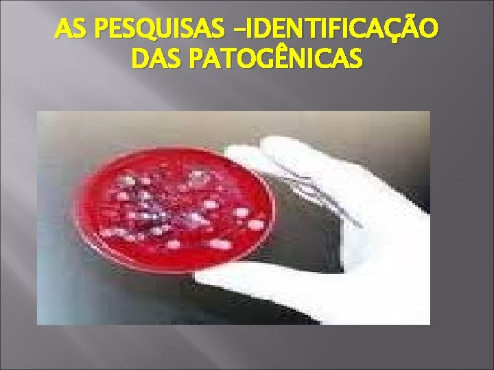AS PESQUISAS –IDENTIFICAÇÃO DAS PATOGÊNICAS 