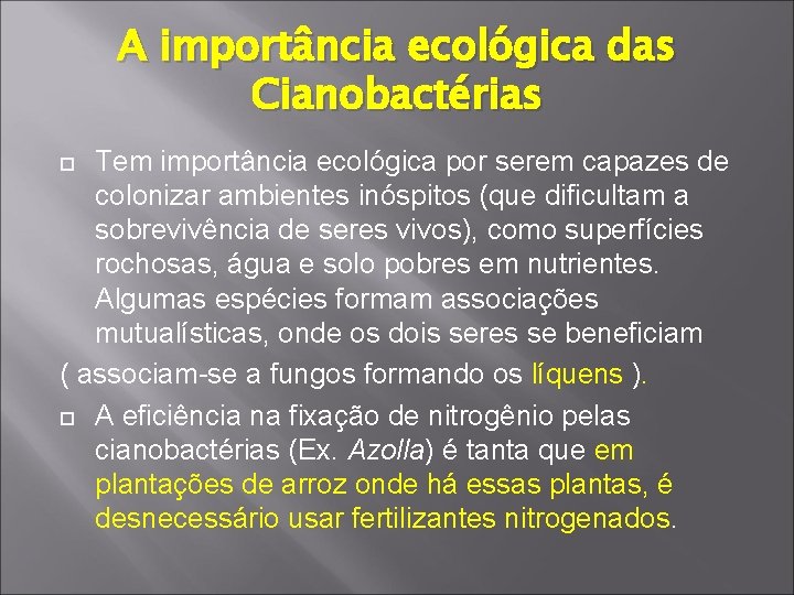 A importância ecológica das Cianobactérias Tem importância ecológica por serem capazes de colonizar ambientes