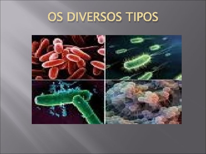 OS DIVERSOS TIPOS 