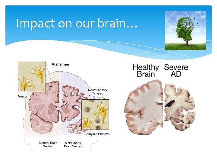 Impact on our brain… 