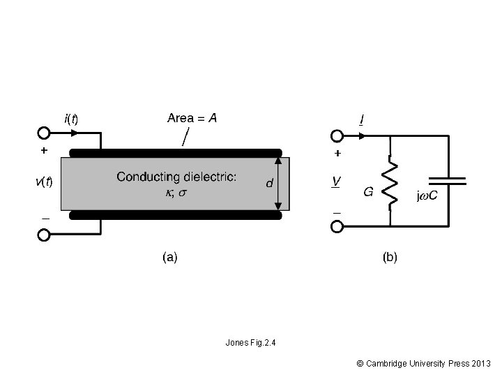 Jones Fig. 2. 4 © Cambridge University Press 2013 