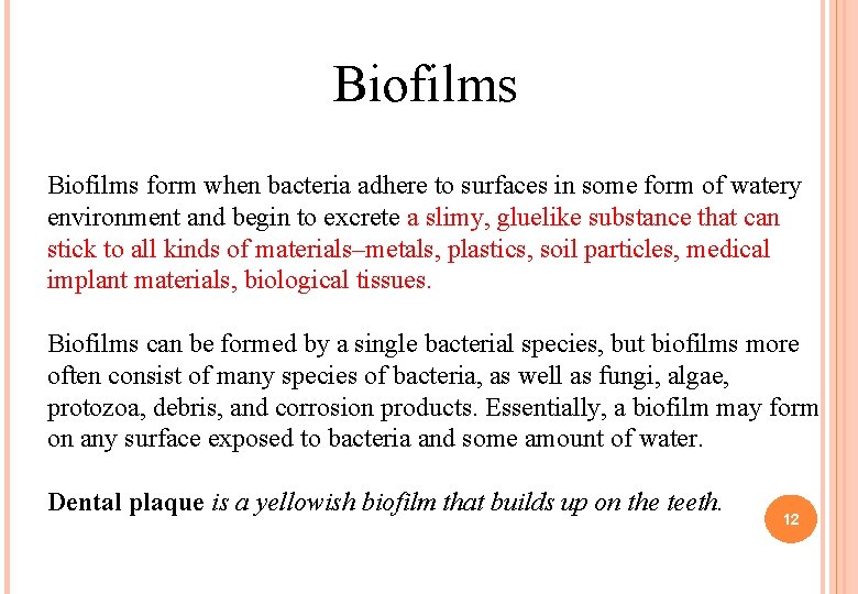 Biofilms form when bacteria adhere to surfaces in some form of watery environment and