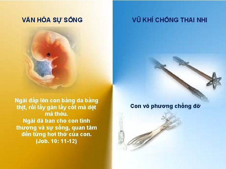 VĂN HÓA SỰ SỐNG Ngài đắp lên con bằng da bằng thịt, rồi lấy