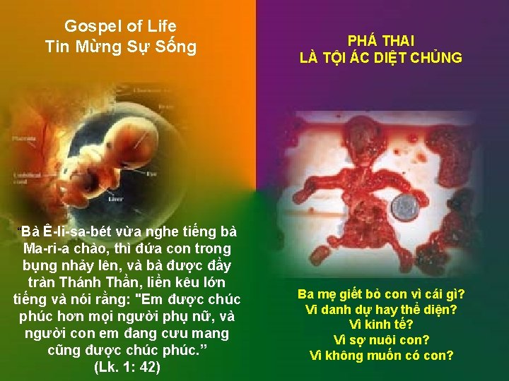 Gospel of Life Tin Mừng Sự Sống PHÁ THAI LÀ TỘI ÁC DIỆT CHỦNG